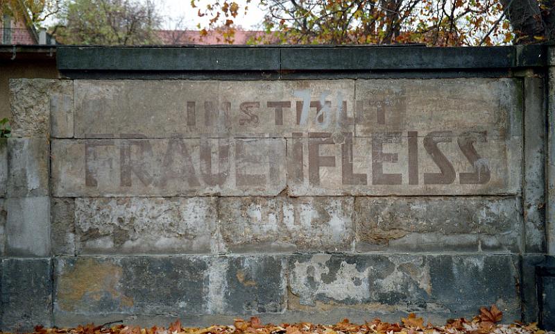 Dresden-Plauen, Winckelmannstr.-Ecke Schnorrstr., 3.11.1999.jpg - Institut Frauenfleiss